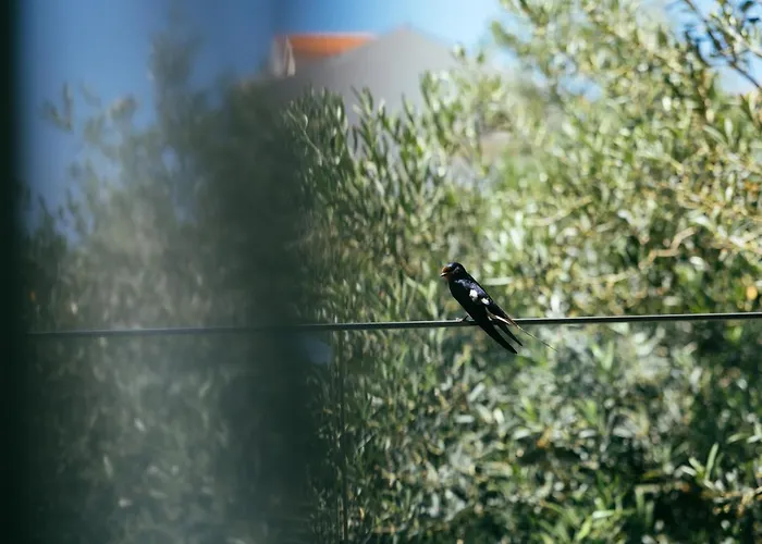 Pharia And - By The 3* Hvar Town