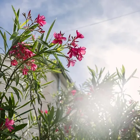 Pharia And - By The 3*