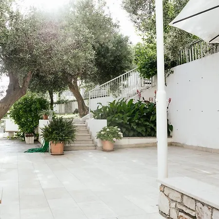 Pharia And - By The Hvar Town