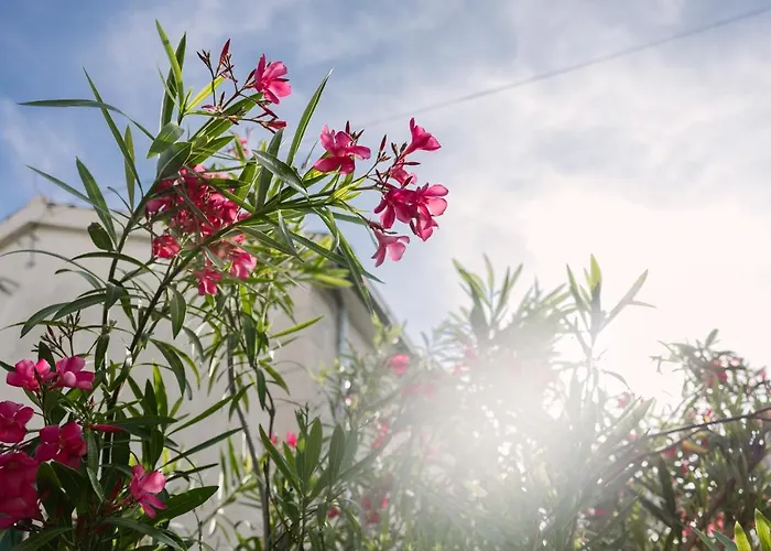 Pharia And - By The 3*